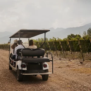 Recorrido - Carrito de Golf copia